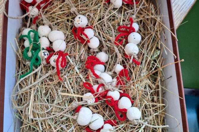 Samo se ljubav dijeljenjem množi Vol.2